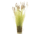 All Game Terrain Cattails Tufts
