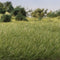 All Game Terrain 7mm Medium Green Static Grass