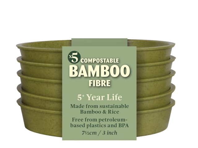 Bamboo Saucer 3in Sage Green x 5