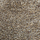 Kensington Doormat 50x75cm - Brown