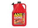 Ant Gone Watering Can 5L - Ready To Use