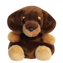 Palm Pals Plush - Houdini Dachshund