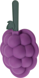 Fruit Shaped Ice Lolly Maker