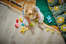 LEGO Duplo 3 In 1 Creative Cute Pets