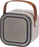 Karaoke Speaker With Microphones