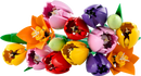 LEGO Botanicals Tulip Bouquet