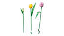 LEGO Botanicals Tulip Bouquet