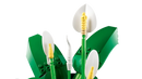 LEGO Botanicals Peace Lily