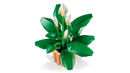 LEGO Botanicals Peace Lily