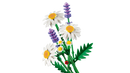 LEGO Botanicals Daisies