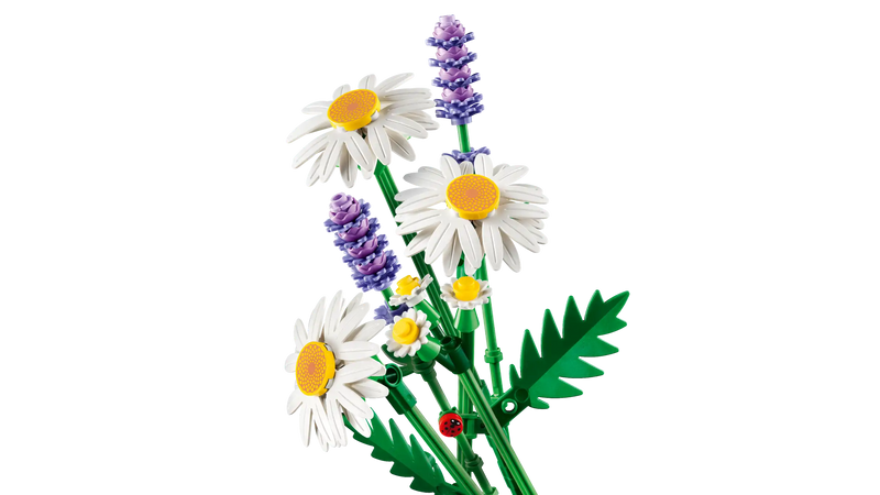 LEGO Botanicals Daisies – JAC Stores IOM
