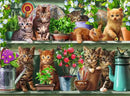 Cats On The Shelf 500pc Jigsaw Puzzle
