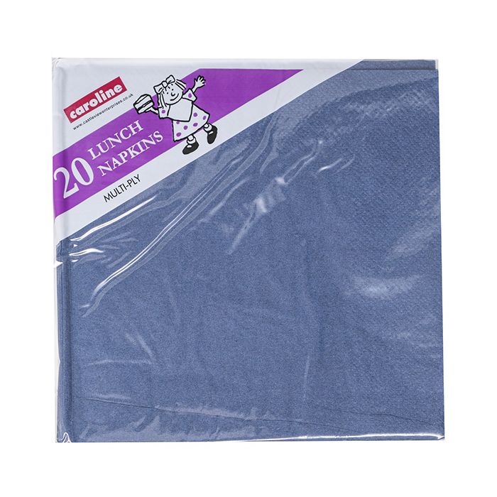 Dark Blue 2ply Napkins 20pk