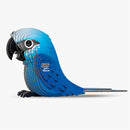 Eugy Spix's Macaw