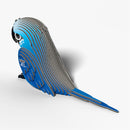 Eugy Spix's Macaw