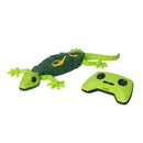 Wall Climbing Gecko