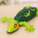 Wall Climbing Gecko
