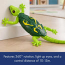 Wall Climbing Gecko