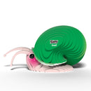 Eugy Snail