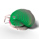 Eugy Snail