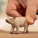 Schleich Mangalica Piglet