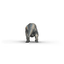 Schleich Triceratops