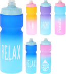 Ombre Sports Bottle 750ml Assorted