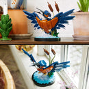 LEGO Icons Kingfisher Bird