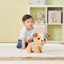 Vtech Baby Walk & Wag Puppy