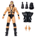 WWE Elite Action Figure Assortment - Series 123