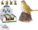 Bird With Sound Ornament Assorted