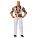 WWE Basic Action Figure Assortment - "Best of" Series 2