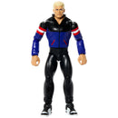 WWE Basic Action Figure Assortment - Series 165