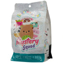 Squishmallows Mystery Squad 12.5cm Blind Bag