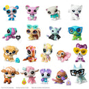 Littlest Pet Shop Pet Surprise Pack S5 Assorted