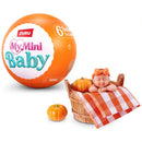 5 Surprise My Mini Baby Pumpkin Patch