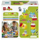 LEGO Duplo 10479 My First Colourful Creative Box