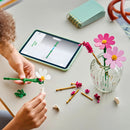 LEGO Botanicals 11514 Cosmos Flowers