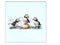 Playful Puffins Coasters 6pk