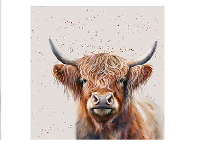 Highland Cow Coasters 6pk