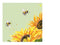 Sunflower Bee Coasters 6pk