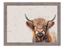 Highland Cow Lap Tray