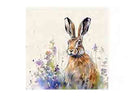 Meadow Hare Coasters 6pk