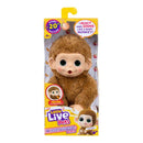 Little Live Pets My Baby Baby Mini Monkey Assorted