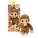 Little Live Pets My Baby Baby Mini Monkey Assorted