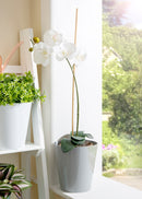 Studio 18cm Round Planter Cover Cool Grey