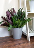 Studio 21cm Round Planter Cover Cool Grey