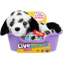 Little Live Pets My Really Real Mini Puppy Assorted