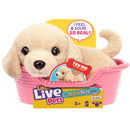 Little Live Pets My Really Real Mini Puppy Assorted
