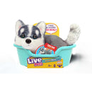 Little Live Pets My Really Real Mini Puppy Assorted